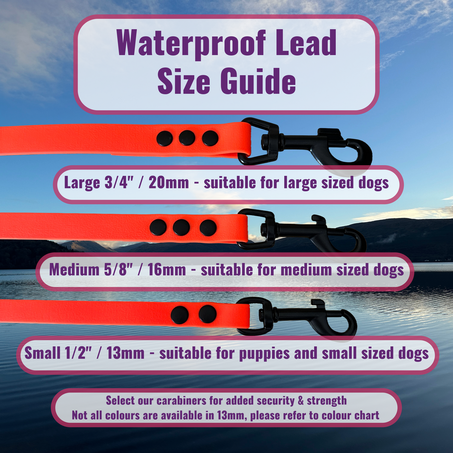 Waterproof Longline - Medium Dogs (16mm width) Design Your Own