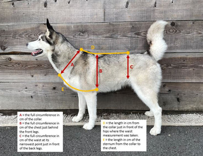 Escape Proof Dog Harness | Adjustable - Design Your Own